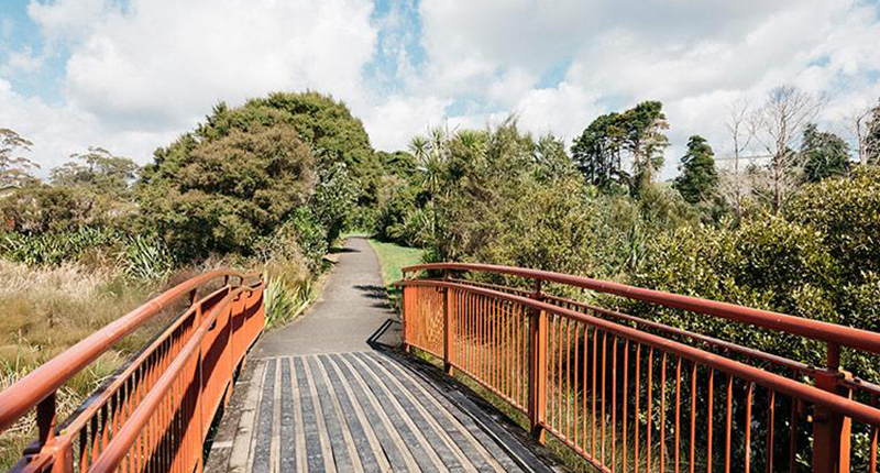 Henderson Creek Path 