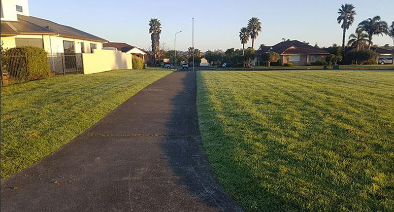 Wattle Downs